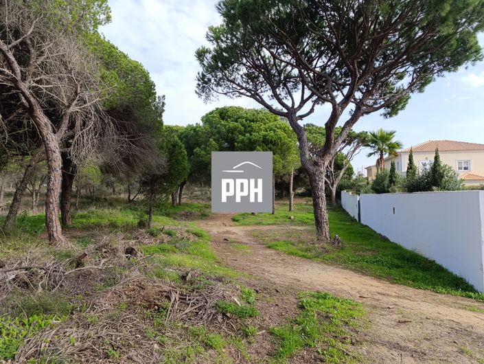 Image No.4-Land for sale