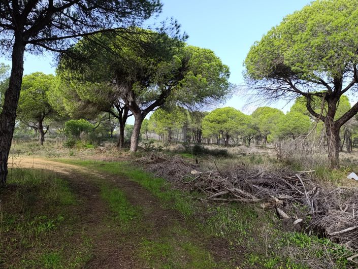 Image No.6-Land for sale