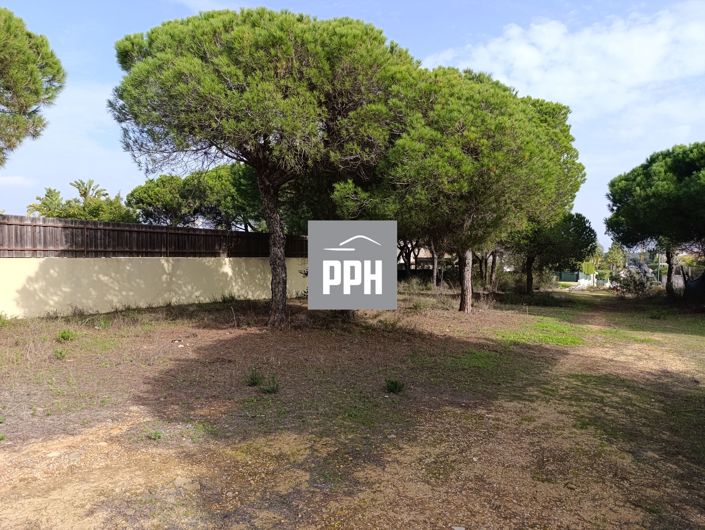 Image No.11-Land for sale