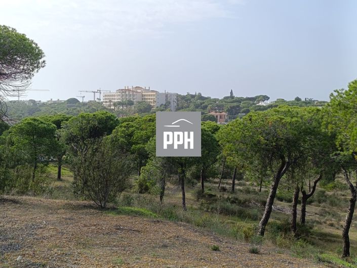 Image No.3-Land for sale