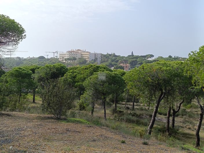 Image No.3-Land for sale