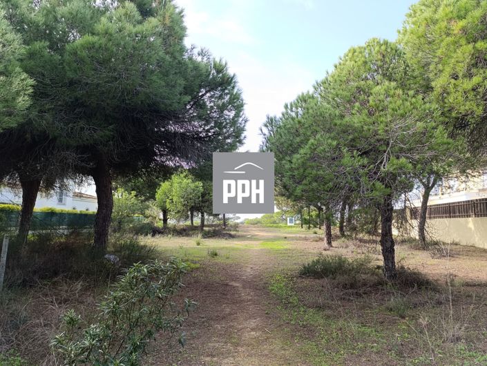 Image No.5-Land for sale