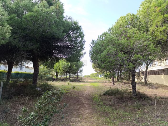 Image No.5-Land for sale