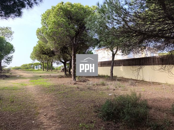 Image No.6-Land for sale