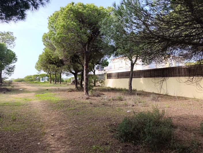 Image No.6-Land for sale