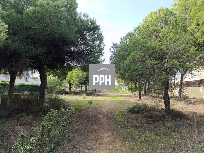 Image No.9-Land for sale