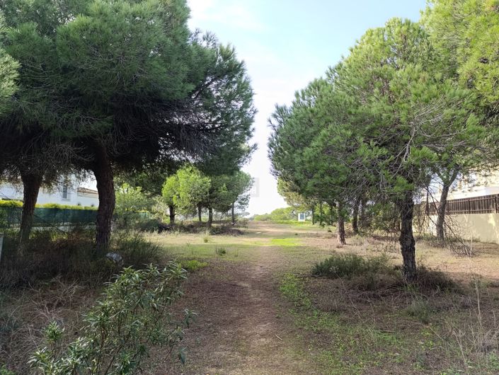 Image No.9-Land for sale