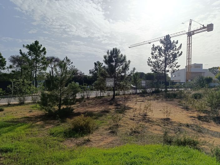 Image No.11-Land for sale