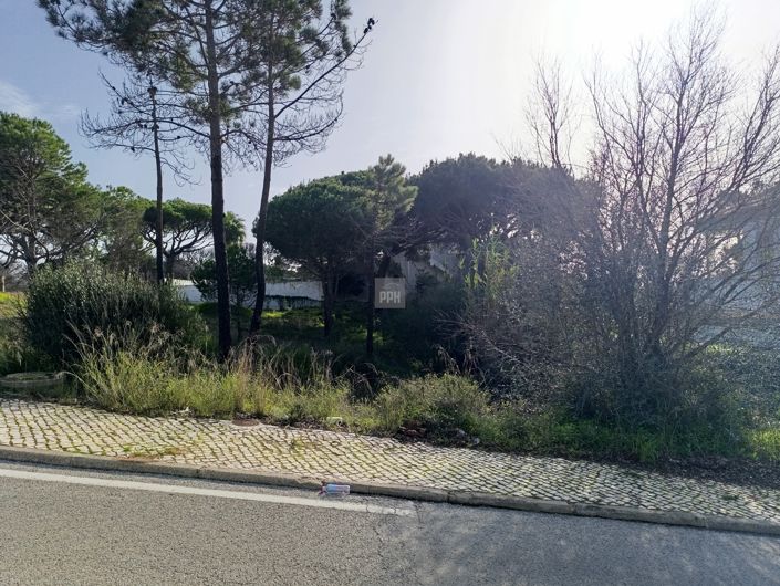 Image No.10-Land for sale