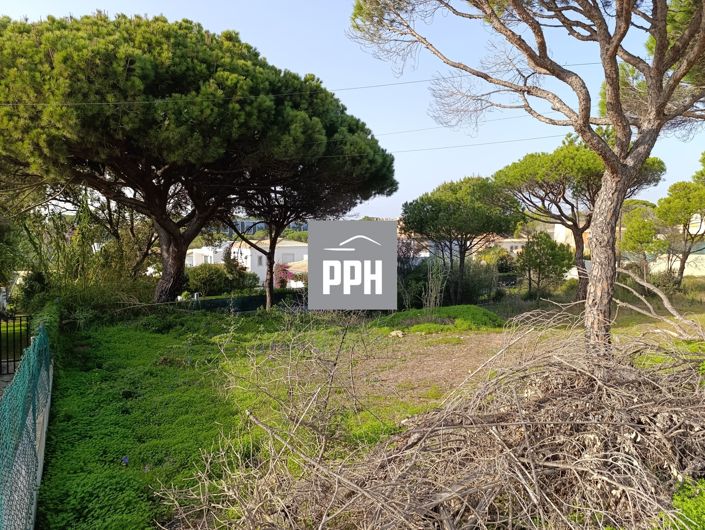 Image No.11-Land for sale