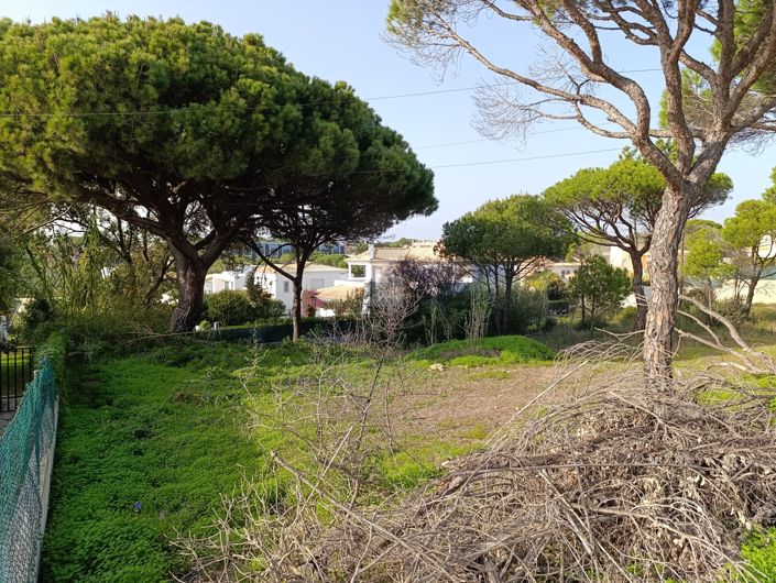 Image No.11-Land for sale