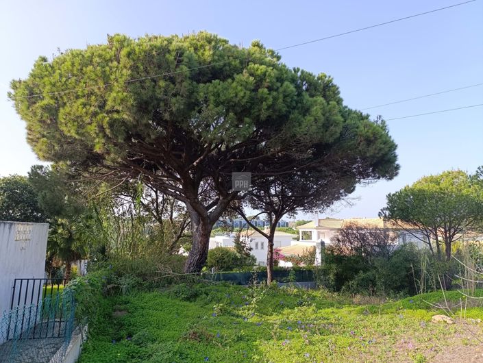 Image No.6-Land for sale