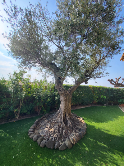 Image No.39-Villa de 4 chambres à vendre à Caux