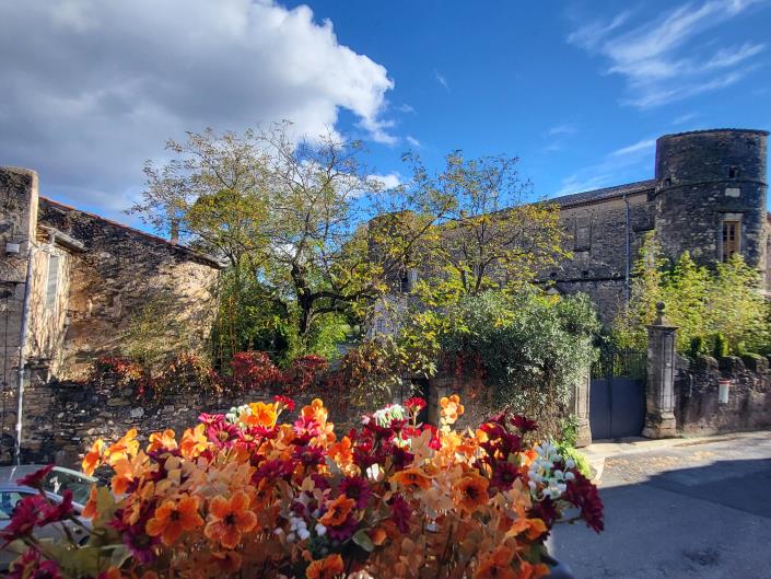 Image No.23-Maison de village de 6 chambres à vendre à Nizas