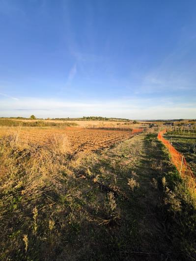 Image No.16-1 Bed House for sale