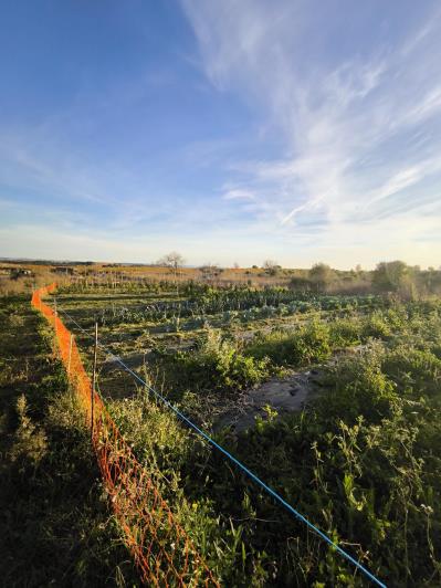 Image No.17-1 Bed House for sale