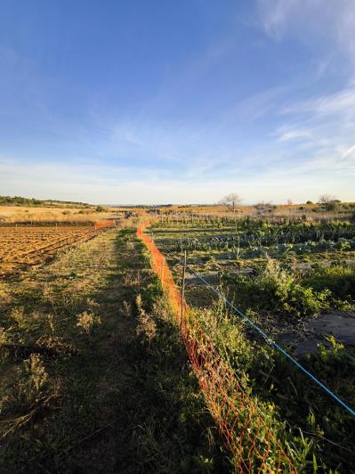 Image No.18-1 Bed House for sale