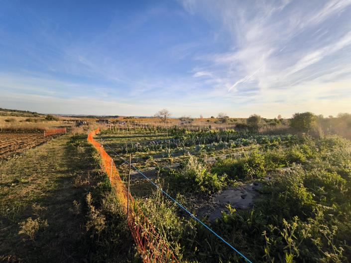 Image No.19-1 Bed House for sale