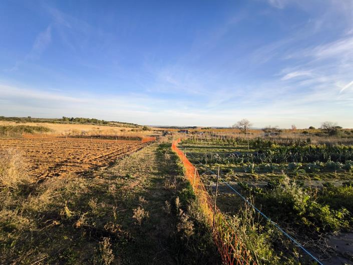 Image No.20-1 Bed House for sale