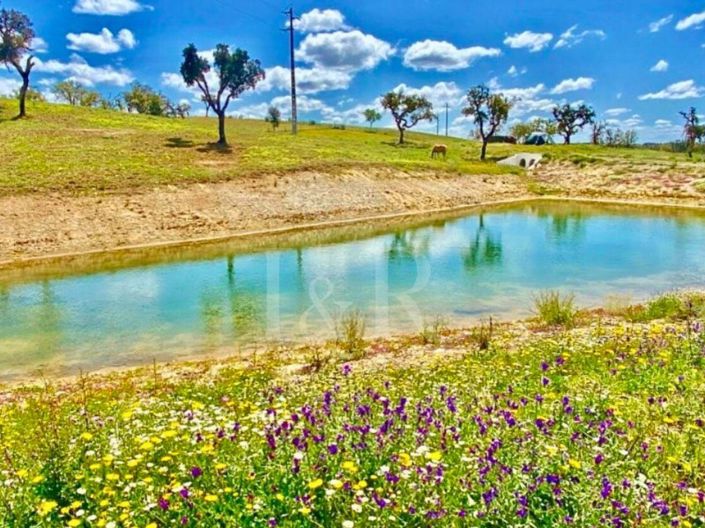 Image No.39-5 Bed Farmhouse for sale