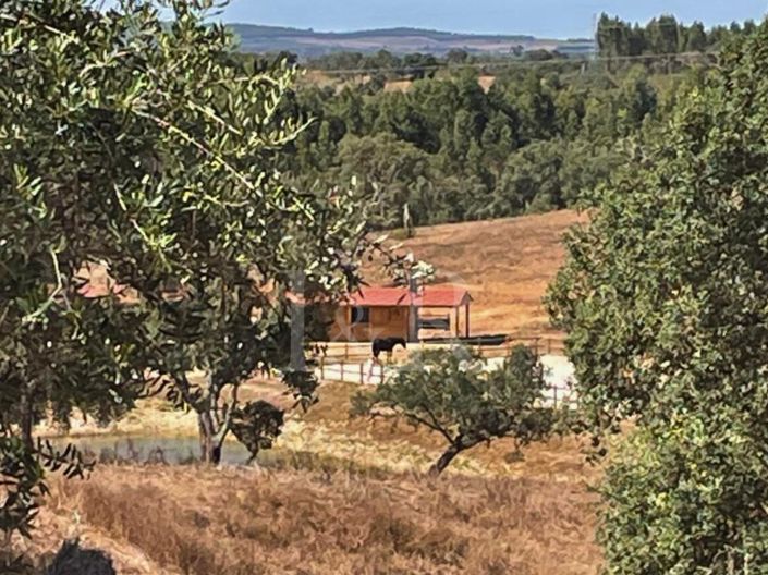 Image No.41-5 Bed Farmhouse for sale