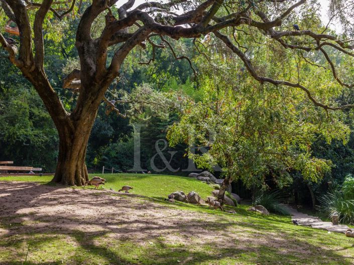 Image No.14-1 Bed Apartment for sale