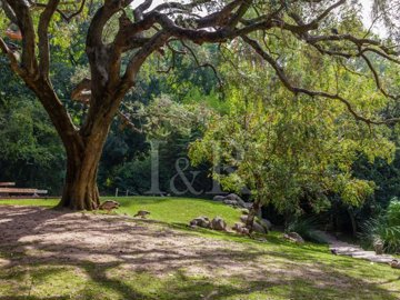 id242d9901-0000-0500-0000-00001565a73d