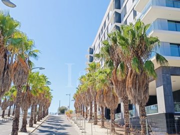 id242d9901-0000-0500-0000-0000181c5e72