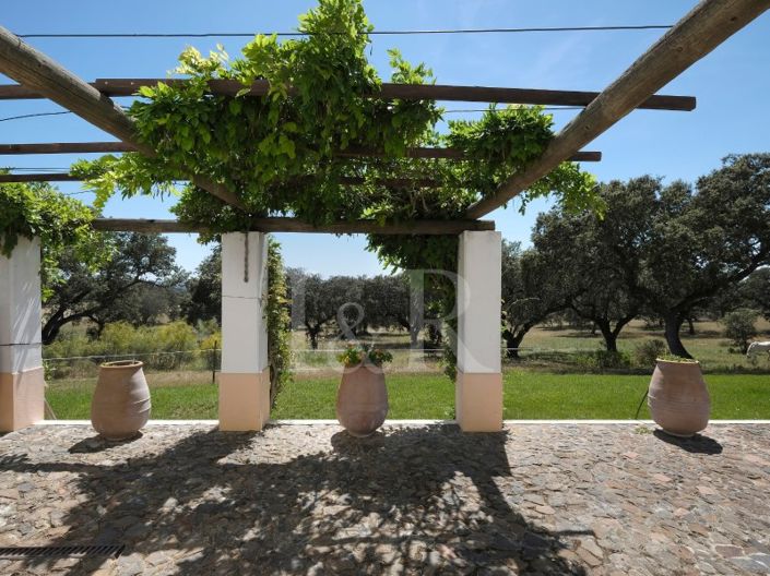 Image No.14-6 Bed Farmhouse for sale