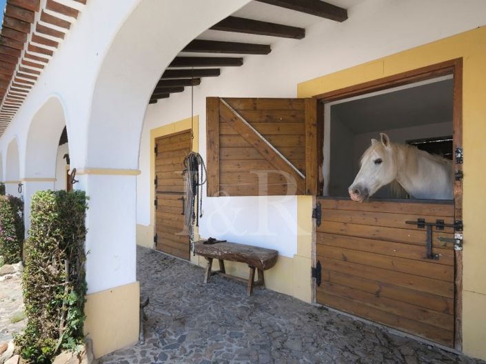 Image No.6-6 Bed Farmhouse for sale