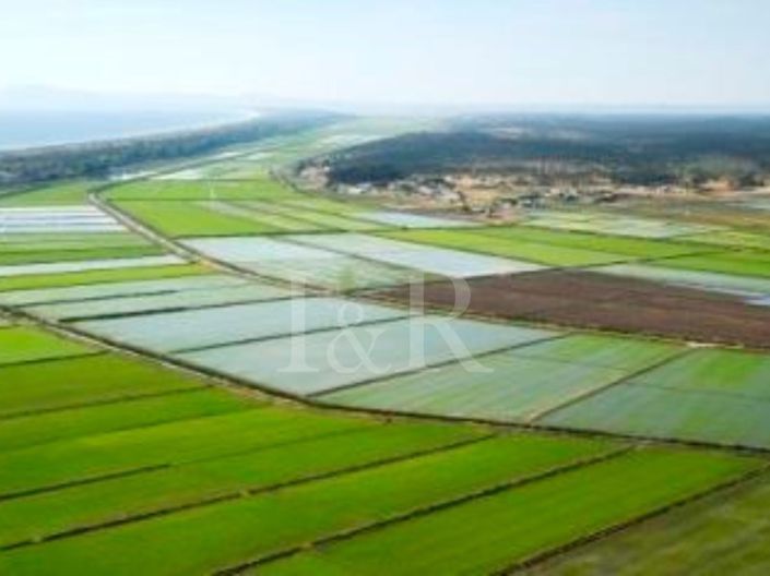 Image No.10-Villa de 4 chambres à vendre à Alcácer do Sal