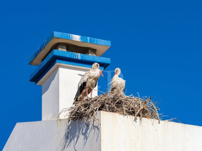 Image No.17-Villa de 4 chambres à vendre à Alcácer do Sal