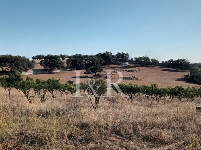 Image No.11-Plot for sale