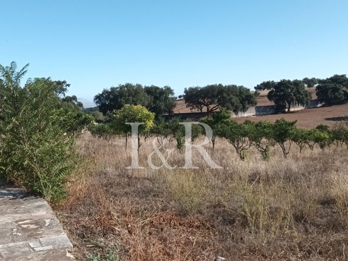 Image No.15-Plot for sale