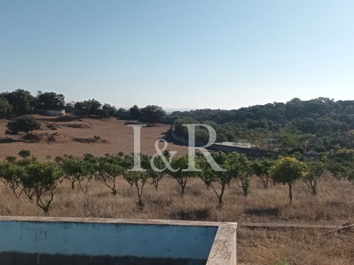 Image No.4-Plot for sale