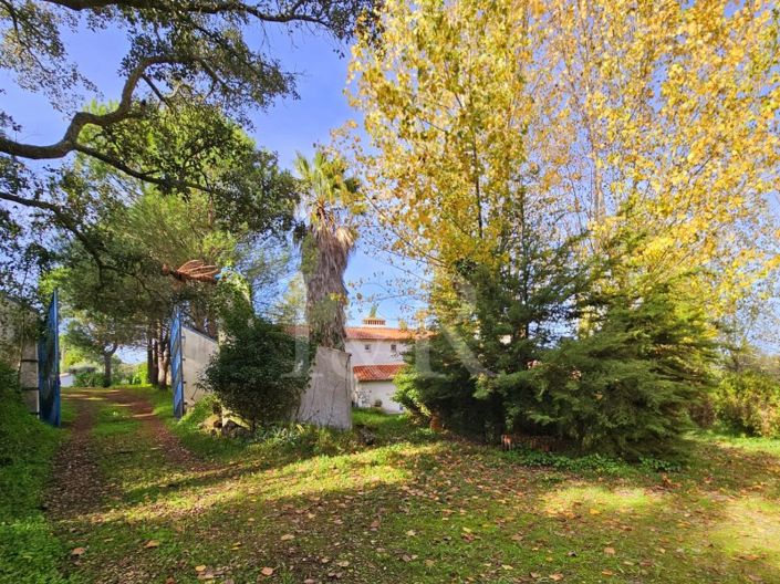 Image No.21-10 Bed Farmhouse for sale