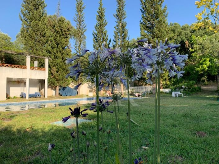 Image No.22-10 Bed Farmhouse for sale