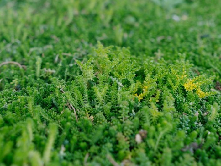 Image No.19-Appartement de 3 chambres à vendre à Loule