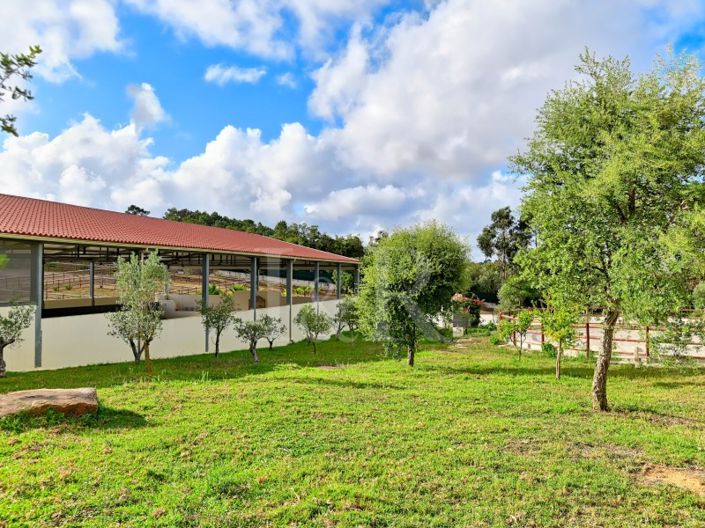 Image No.18-Ferme à vendre à Sintra
