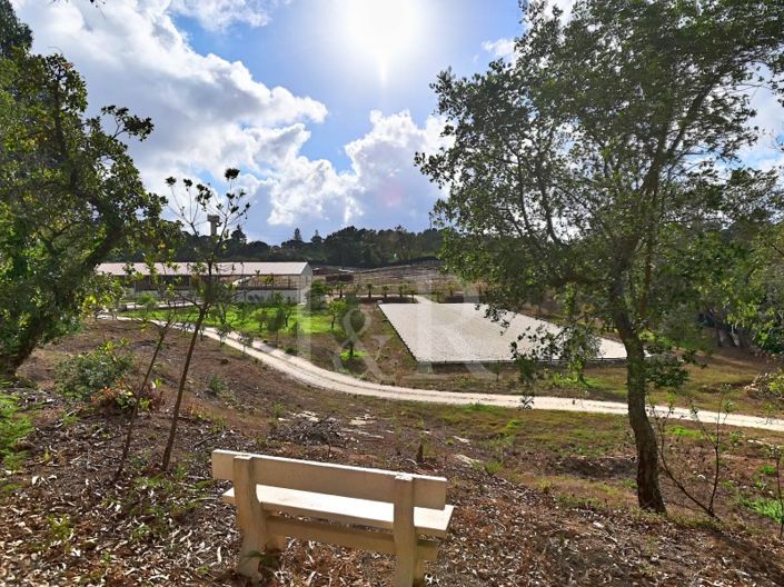 Image No.22-Ferme à vendre à Sintra