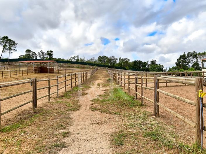 Image No.25-Ferme à vendre à Sintra