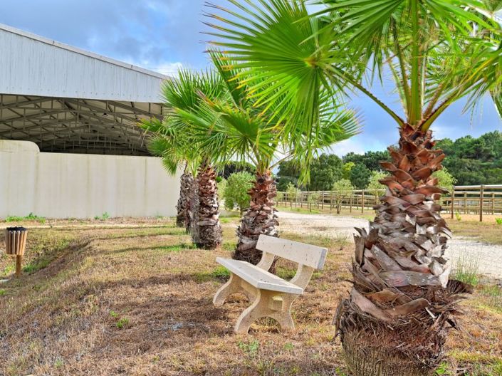 Image No.26-Farmhouse for sale