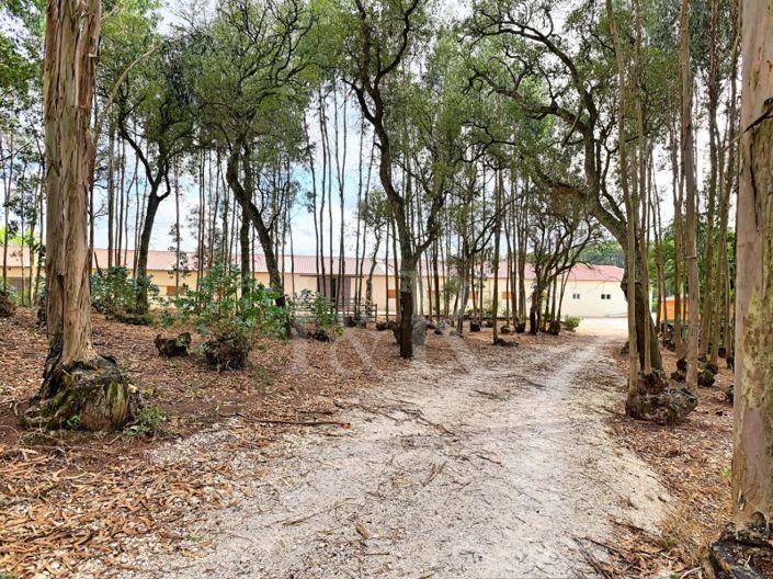 Image No.29-Ferme à vendre à Sintra