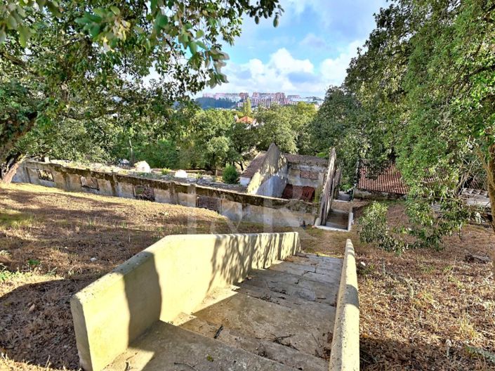 Image No.32-Ferme à vendre à Sintra