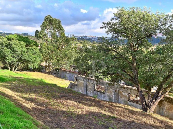 Image No.35-Ferme à vendre à Sintra