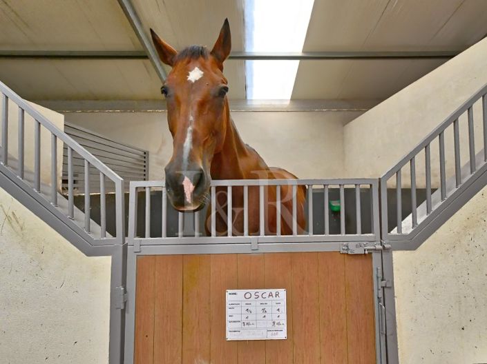 Image No.8-Ferme à vendre à Sintra