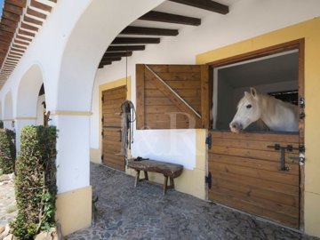 id245b1001-0000-0500-0000-000015755292