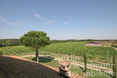 6659ed1837a58m103610