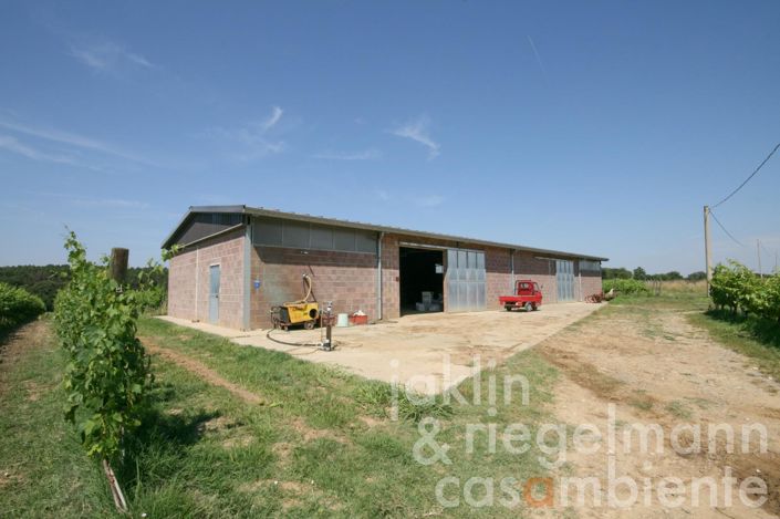 Image No.22-Ferme de 8 chambres à vendre à Castiglione del Lago