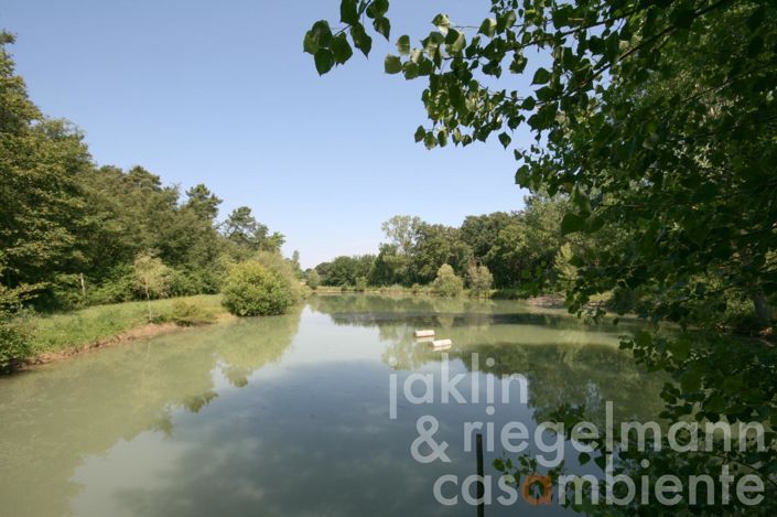 Image No.24-Ferme de 8 chambres à vendre à Castiglione del Lago